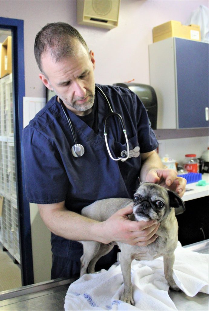 Roice-Hurst Dr. Hoppe Dog vaccine