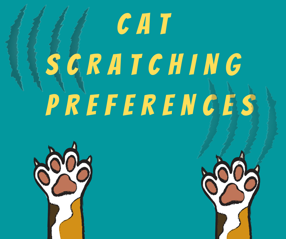 Cat Scratching Preferences