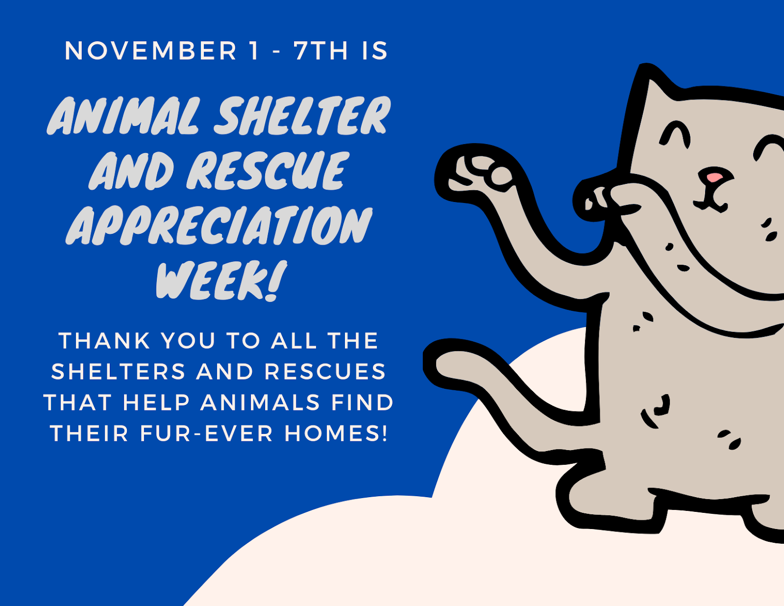 Animal Shelter and Rescue Appreciation Week
