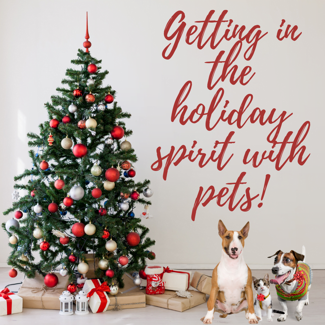 Getting in the Holiday Spirit with Pets