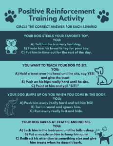 Positive Reinforcement For Dogs