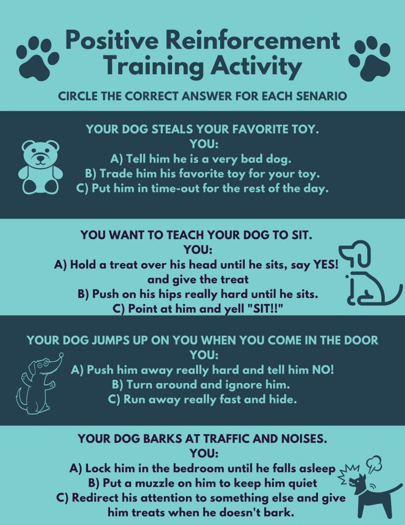 Positive Reinforcement For Dogs