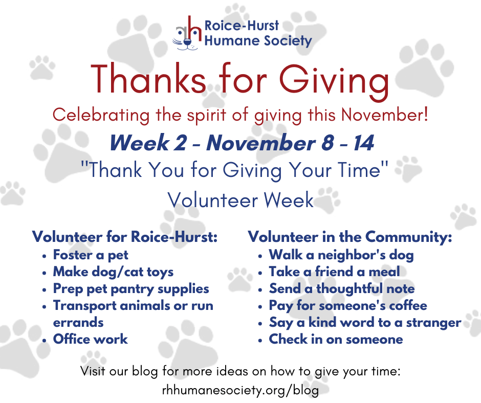 Thanks for Giving: Volunteer Week