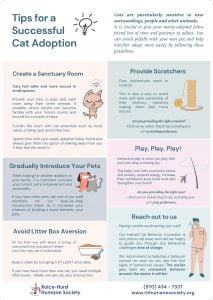 Tips for a Successful Cat Adoption_Page_1
