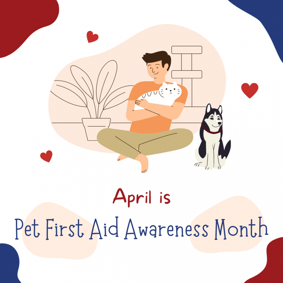 April is Pet First Aid Awareness Month RoiceHurst Humane Society