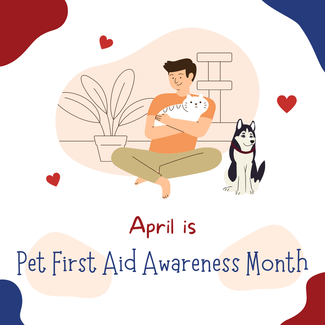 Pet First Aid Awareness Month