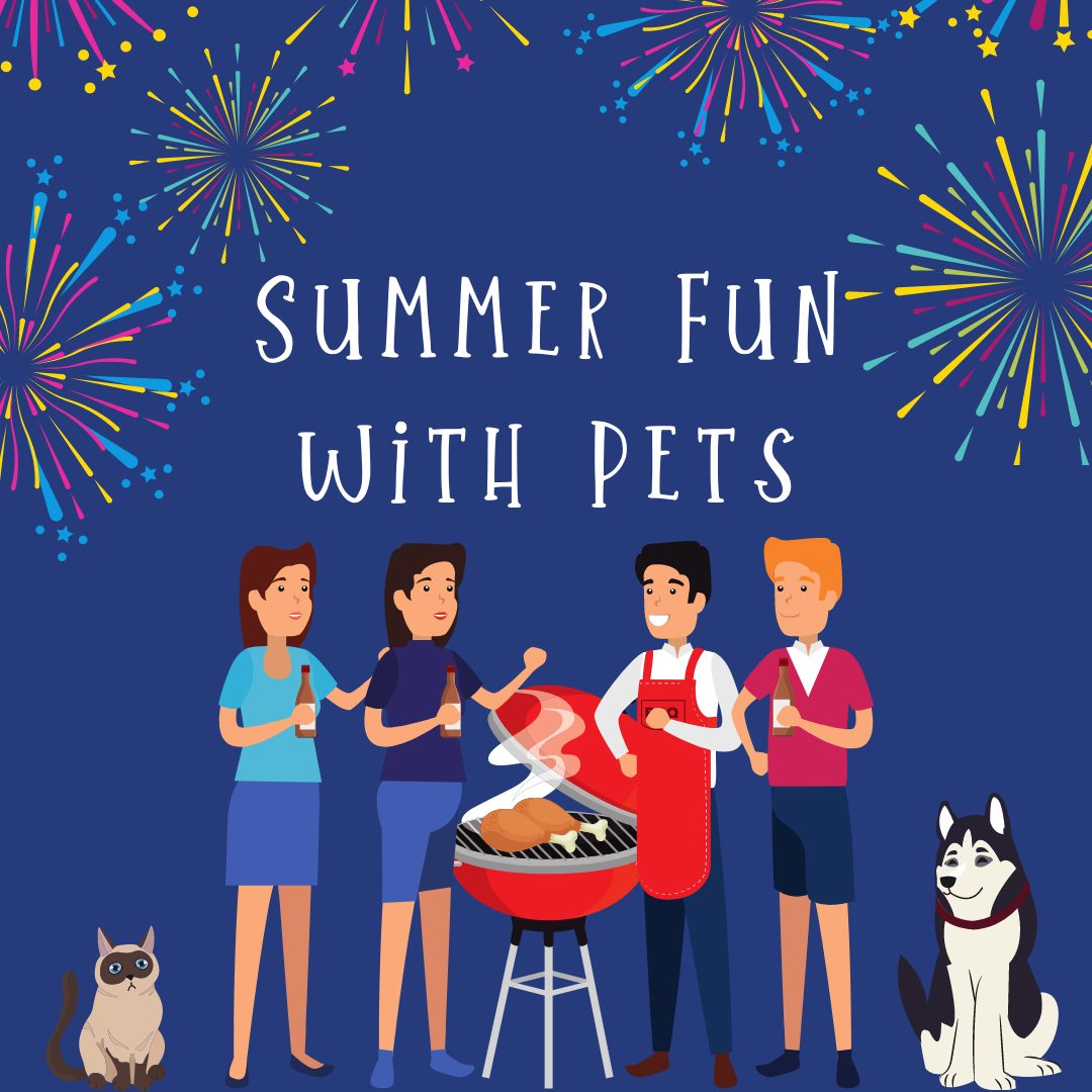 Summer Fun With Pets
