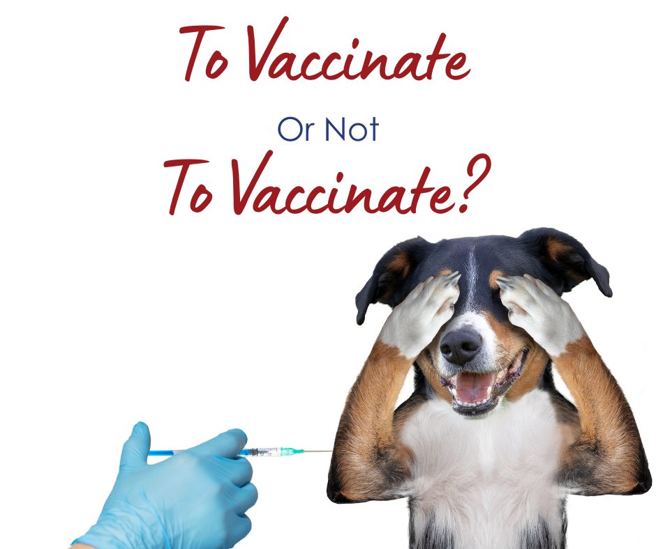 To Vaccinate, or Not To Vaccinate?