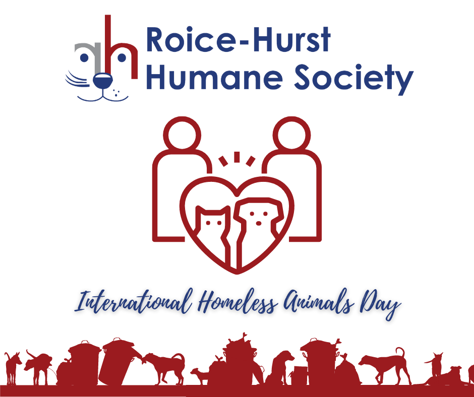 International Homeless Animals Day: Be a Part of the Solution - Roice-Hurst  Humane Society