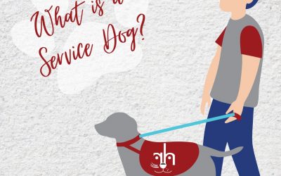 What is the difference between a service dog and an emotional support dog?