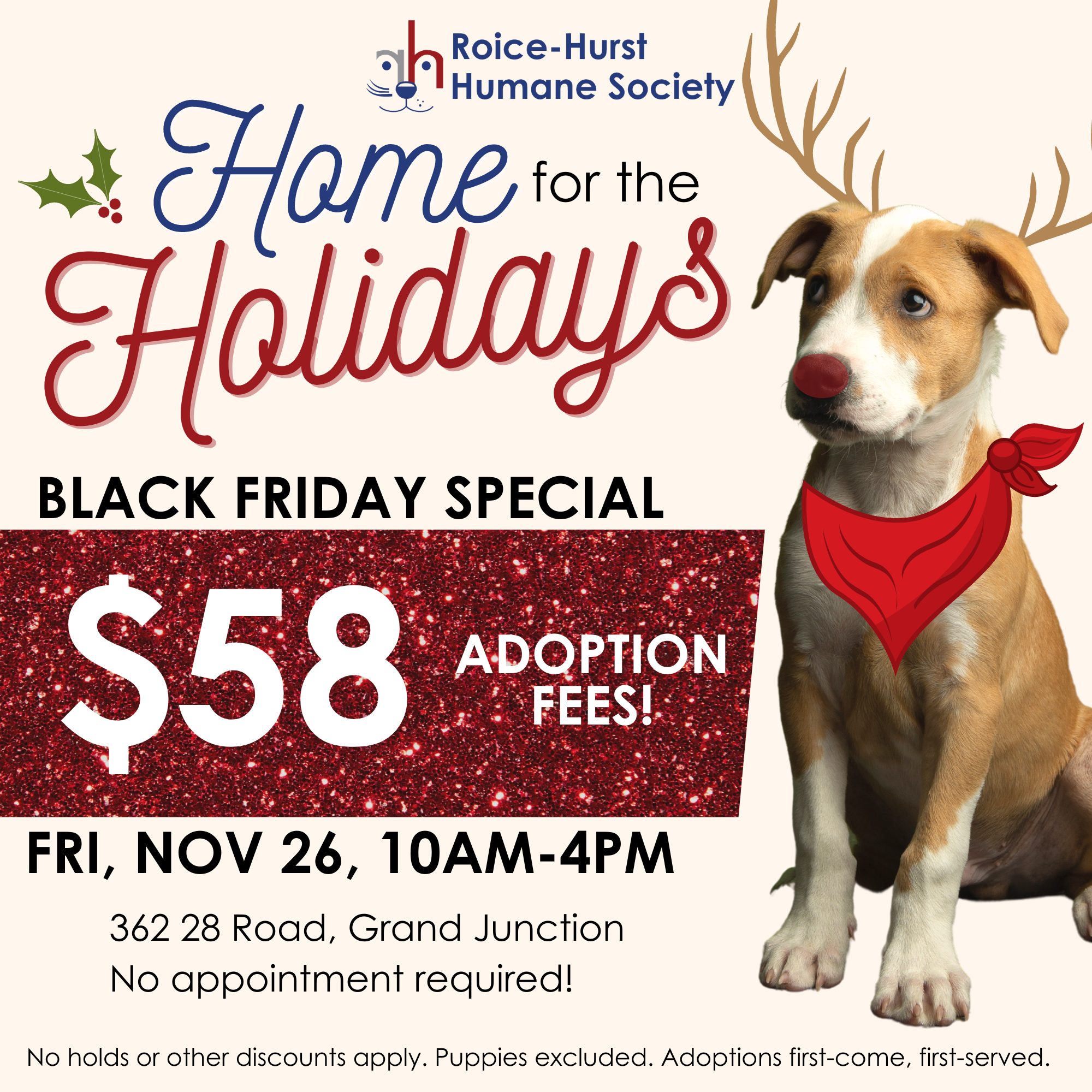 Home for the Holidays Black Friday Special