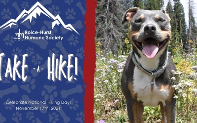 Take a Hike: How hiking benefits you, your pet, and Roice-Hurst!