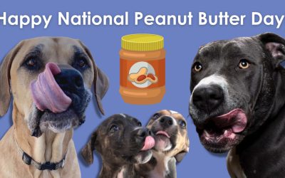 National Peanut Butter Day: How to celebrate safely!