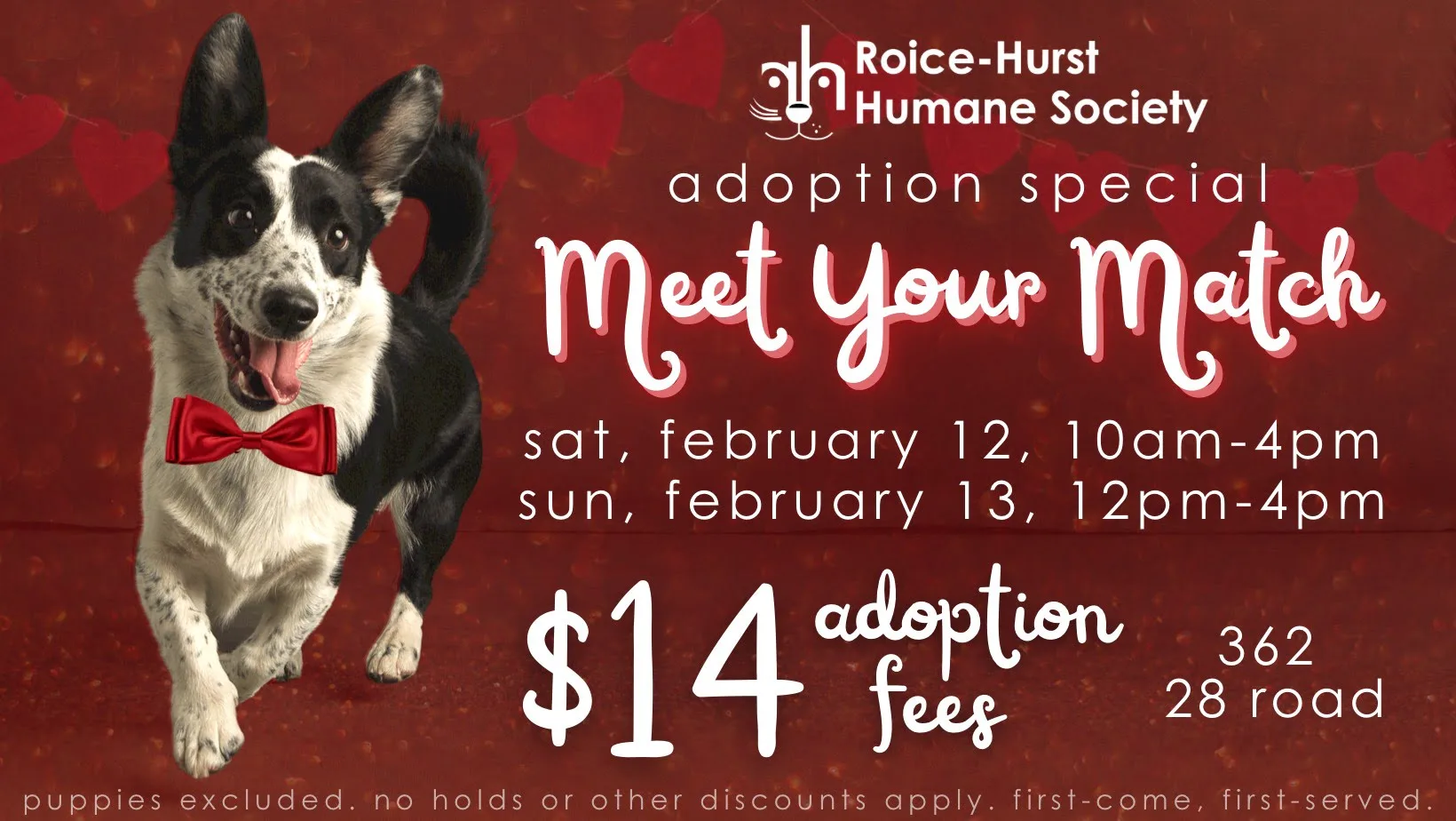 Hssv adoption best sale