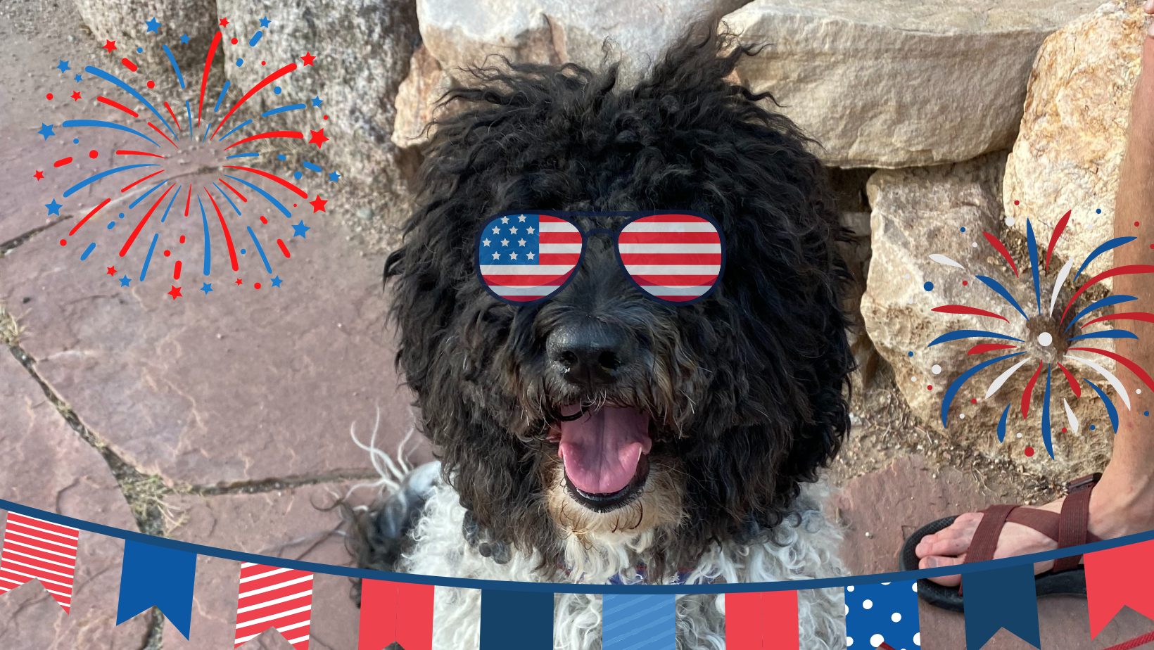 4th of July: Prepare for Your Pet’s Safety!