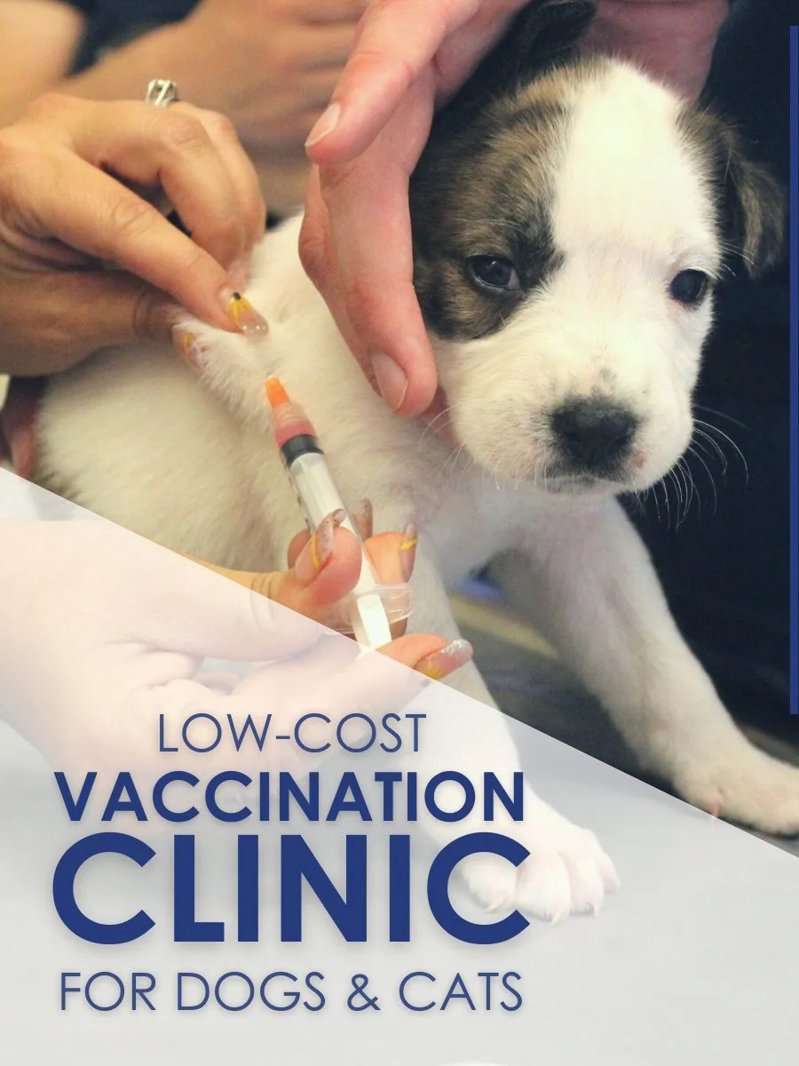 Lost cost vaccination sales clinics