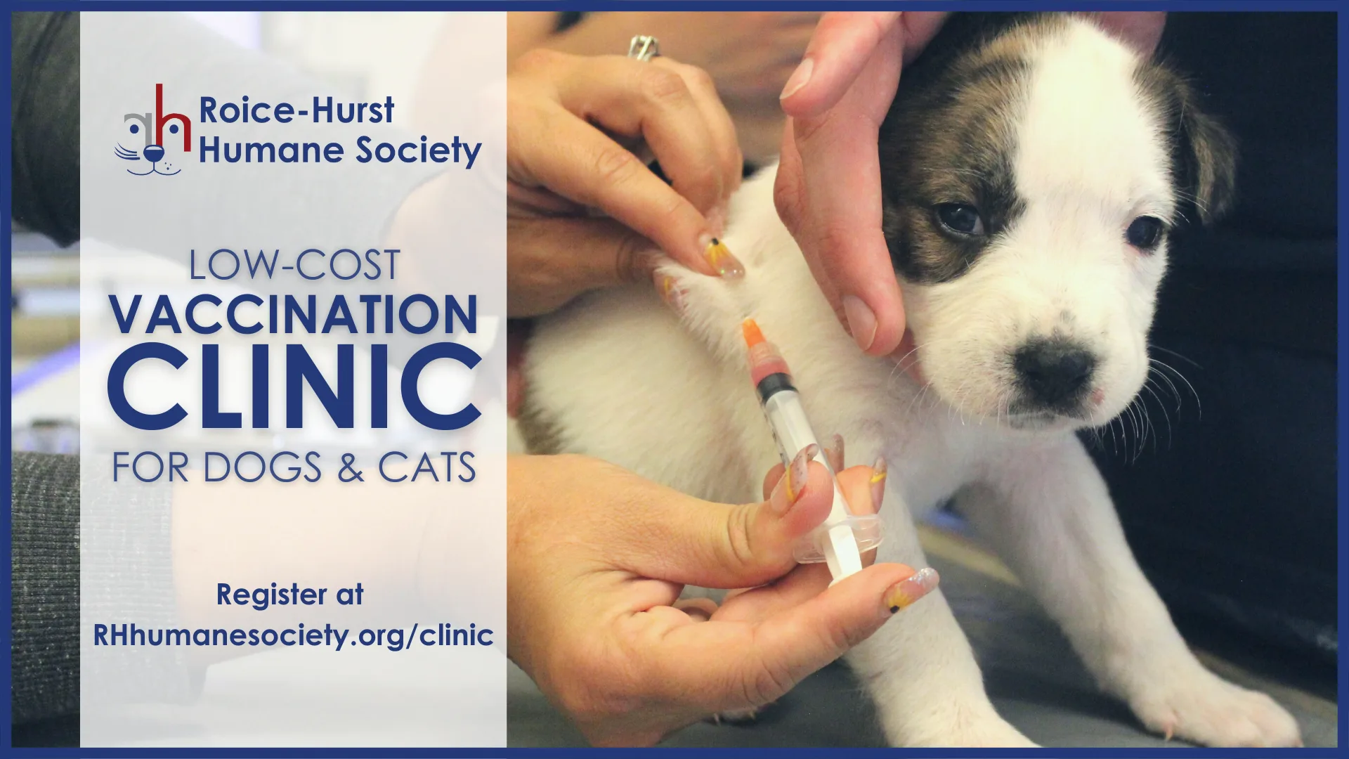 Humane shops society low cost vaccine clinic